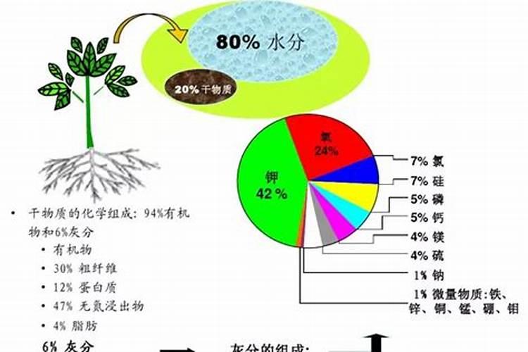 植物的营养元素间有哪些作用？