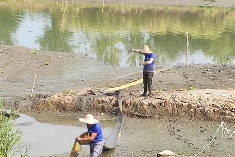 长江流域抗旱措施