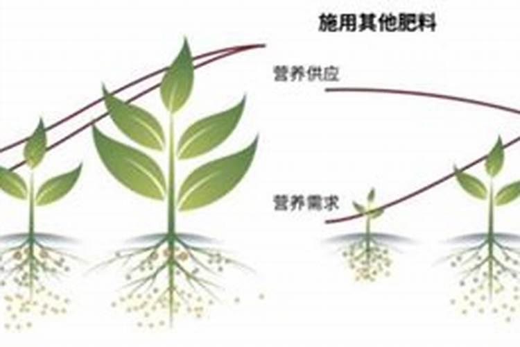 广州蔬菜缓控释肥有几种方式？