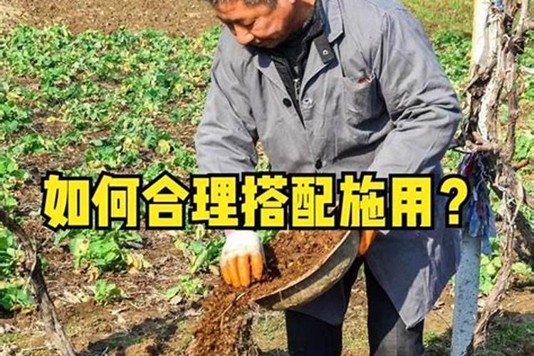 揭秘：为何施肥多了产量却难提升？农耕者必读的深层原因解析