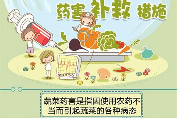 蔬菜药害补救：让绿色回归健康