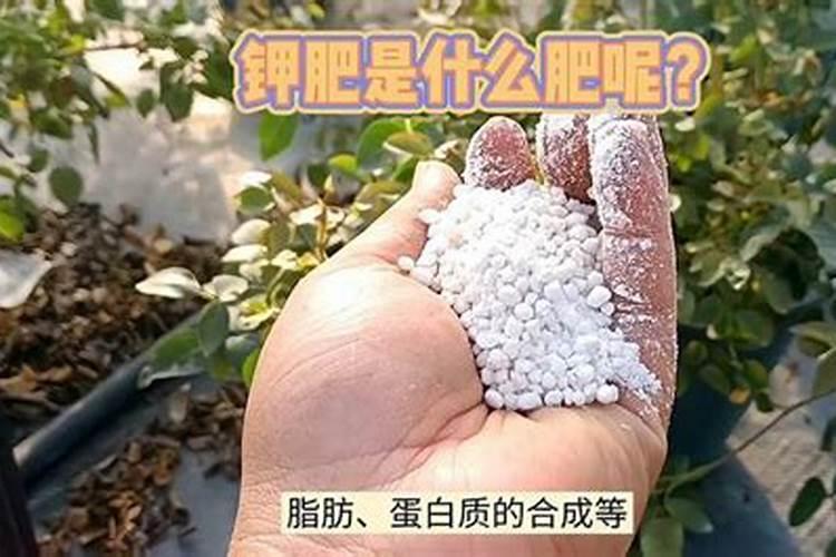 牧草里的残留钾肥是什么肥料？