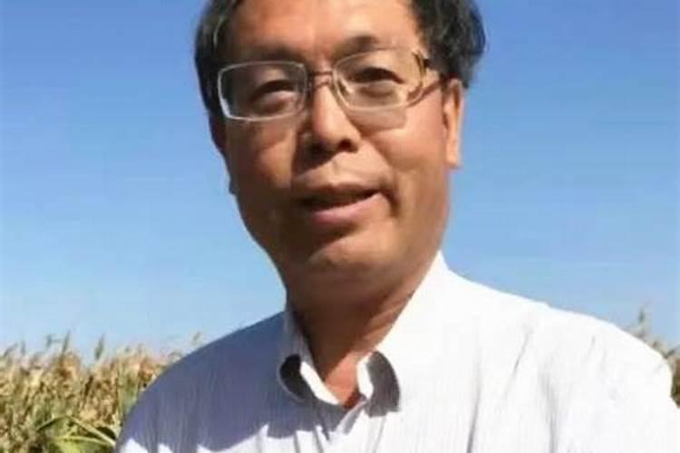 守护绿色希望：杂交谷子与农药共舞的科学之道