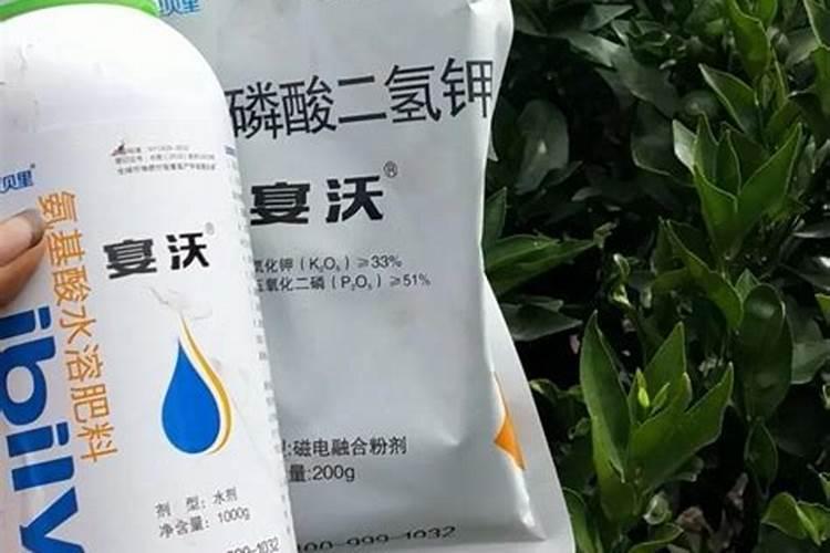 钙镁磷肥在柑橘上应用有哪些？