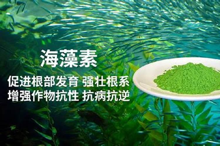 含海藻酸水溶肥料的养分构成,功效是怎样的