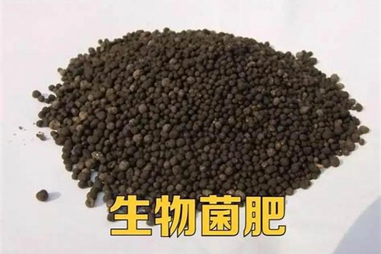 生物菌肥怎样用合理