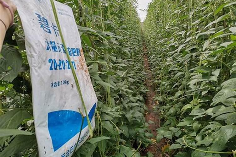 大量元素水溶肥料使用注意事项药肥