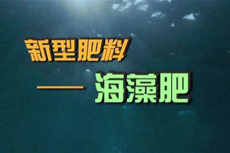 2025海藻肥的作用与禁忌？