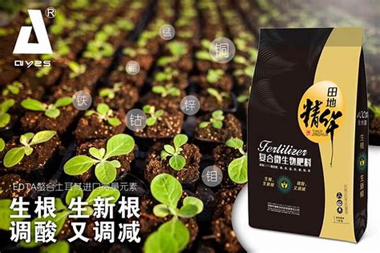 2025生物菌肥料有什么好处？